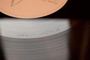 Junta Pollock Edition (25) Carved disc